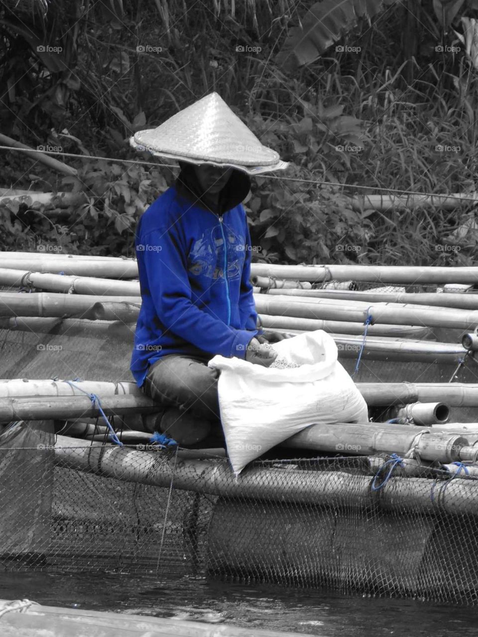 Deep love for fish farming