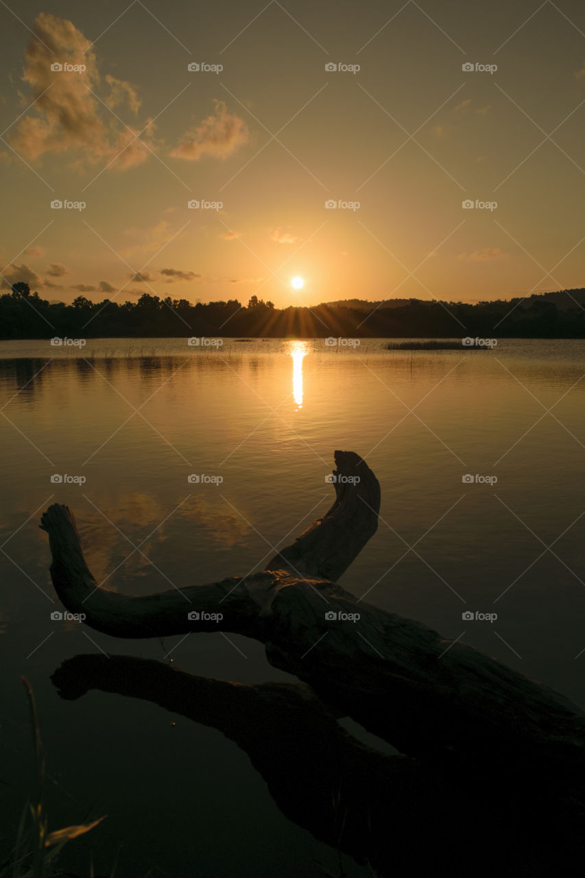 Old wood against sunset