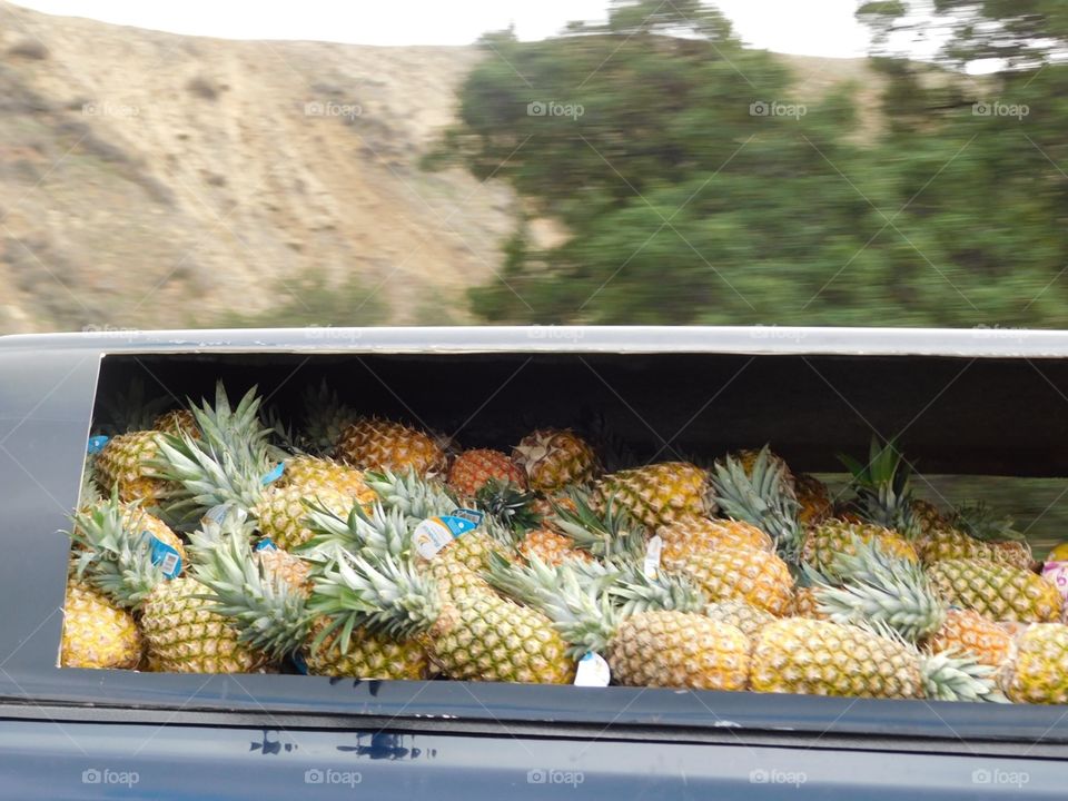 Truck full of Pinapples