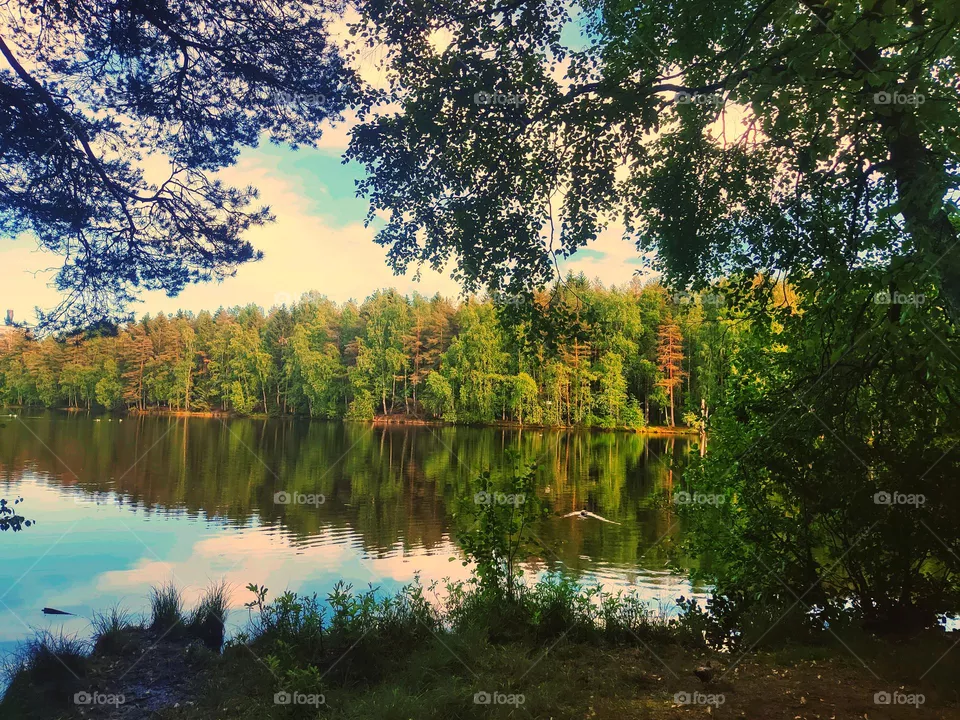 nature love 😘