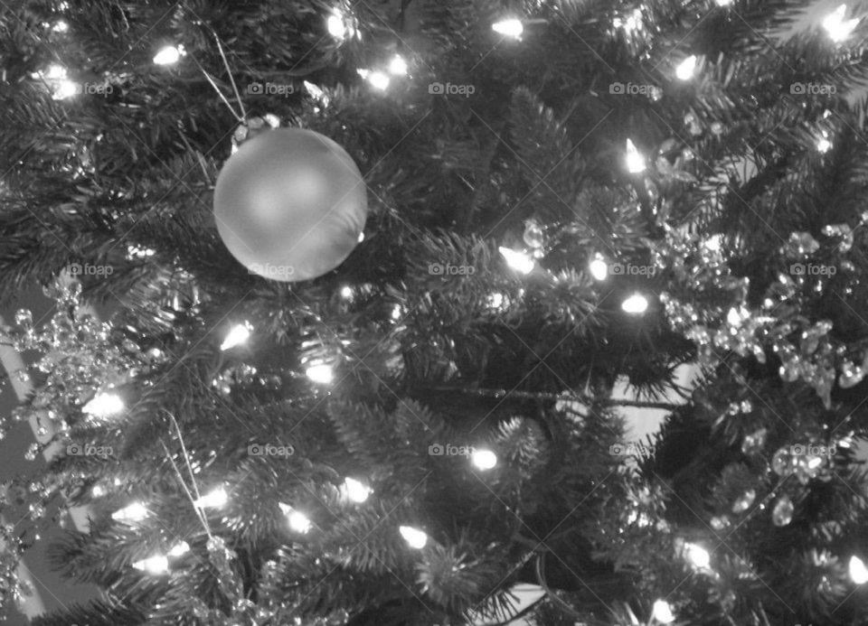 Christmas tree close up