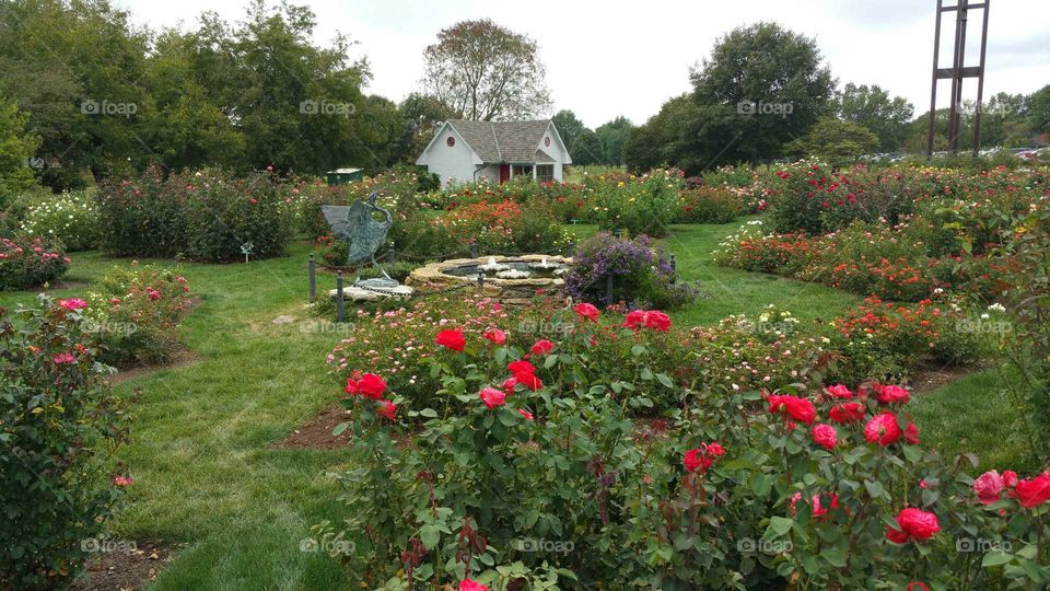 Country house with rose garden.