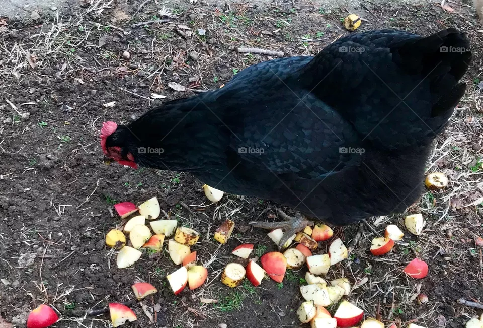 Dinner time