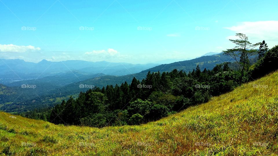 mountain Hanthana,Kandy,Srilanka