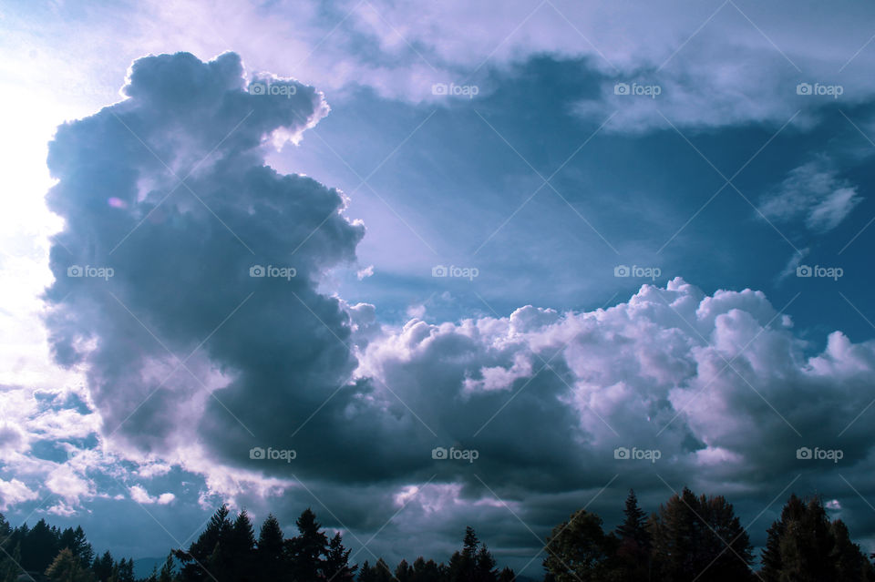 Mother Nature makes glorious clouds. Wind blowing & sunlight piercing through the layers of clouds transforms them into ever-changing works of art. Since I was young, I’ve watched the clouds come alive & imagined stories of wondrous creatures. ☁️