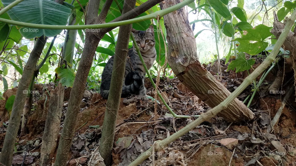 KAT, skjult, i mordet mellem afgreninger.