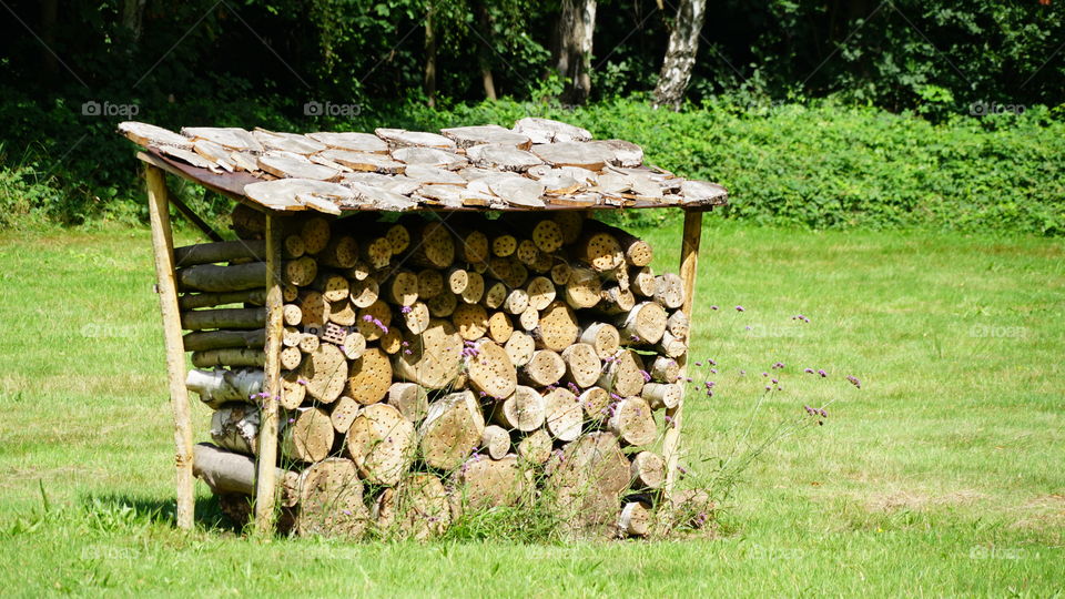 Wood storage in a park