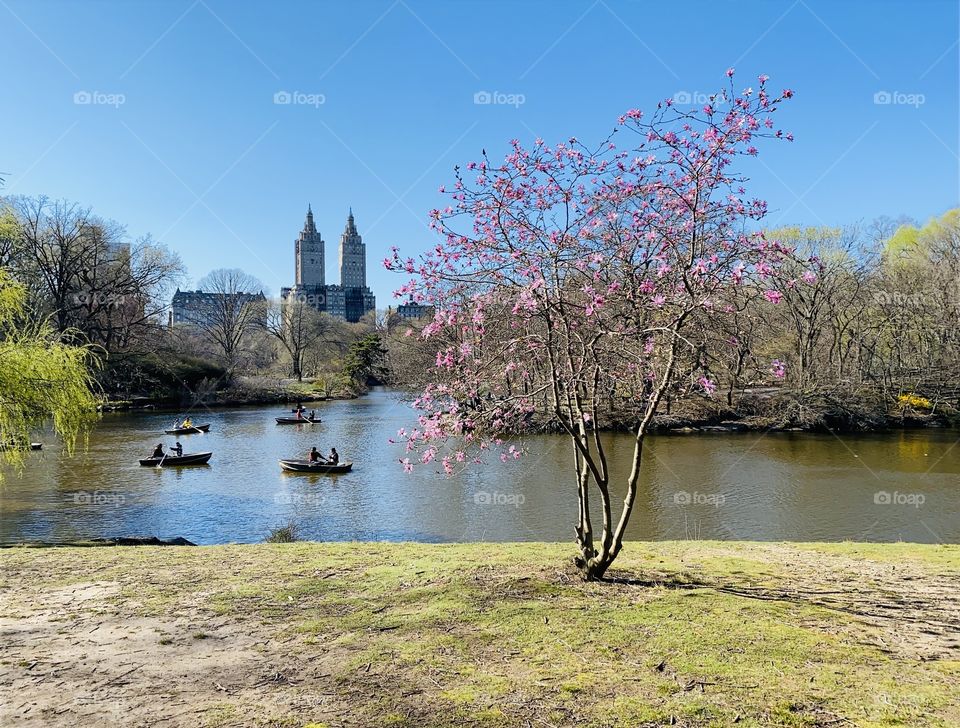 Boating on the lake in Central Park. 