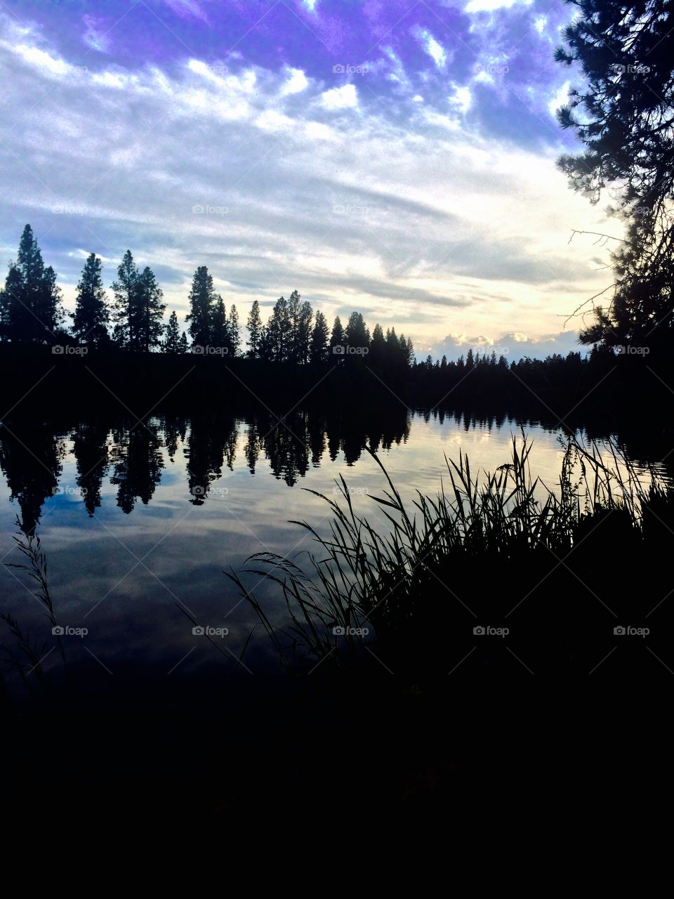 Spring on the Spokane River 