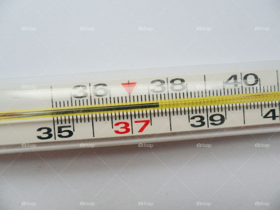 thermometer for measuring temperature on a white background