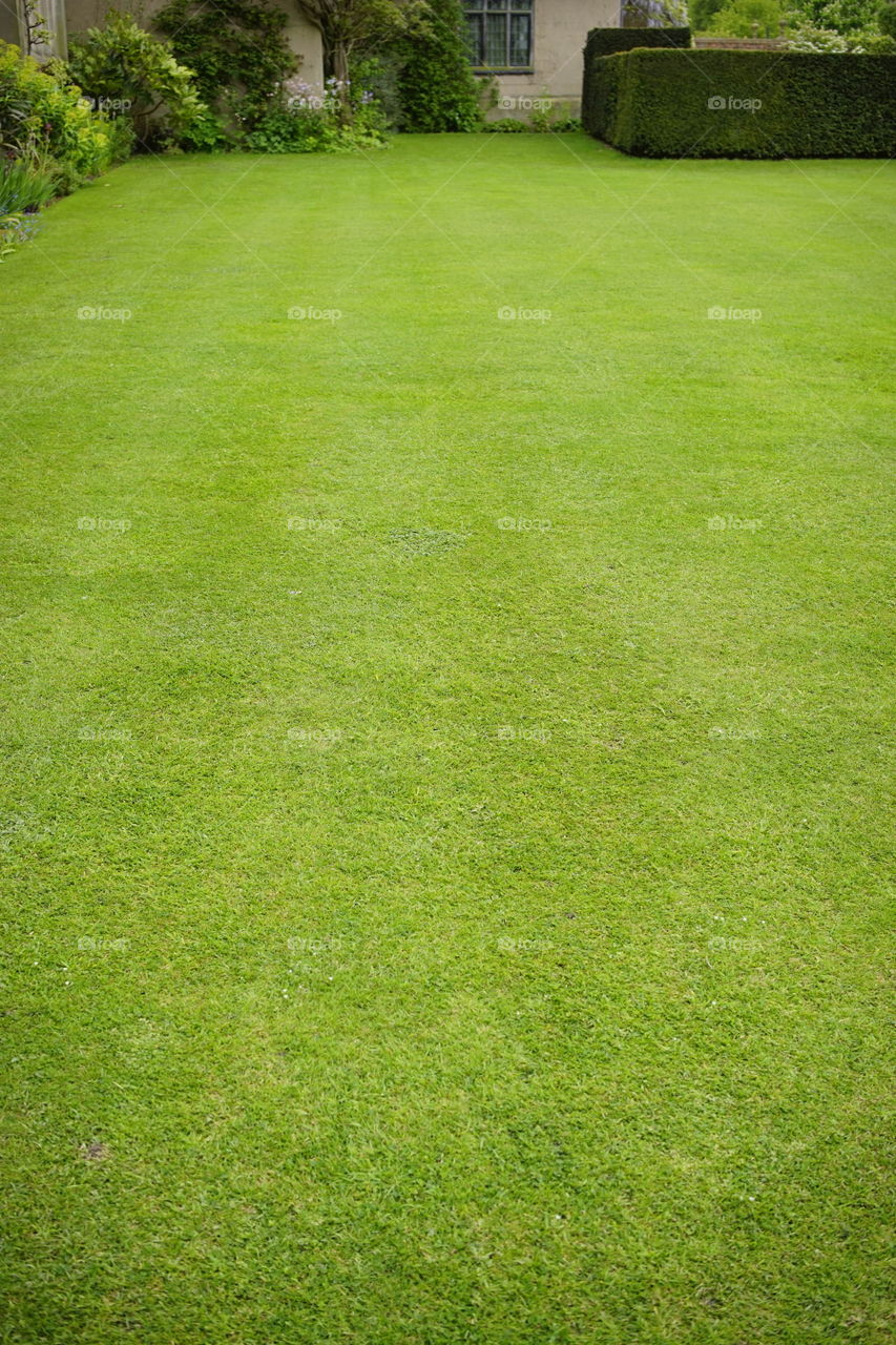 Lawn