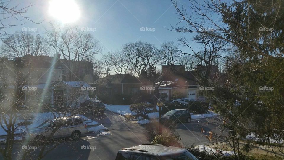 Tree, Winter, Landscape, Weather, Water