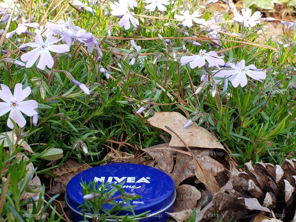 Spring and Nivea