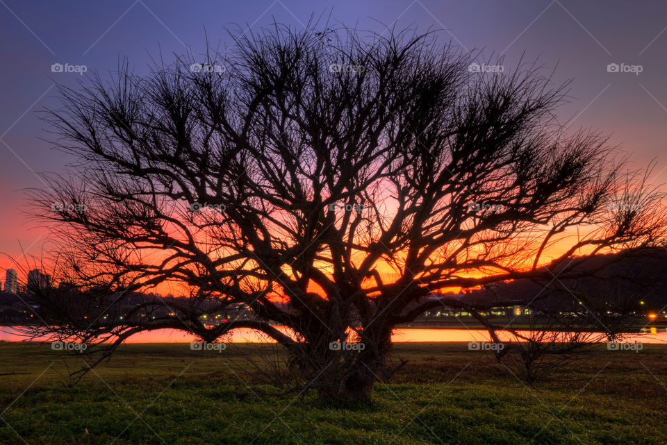 Barigui Park in Curitiba Parana Brazil.