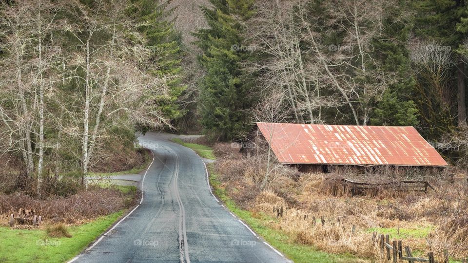 Winding road in forest