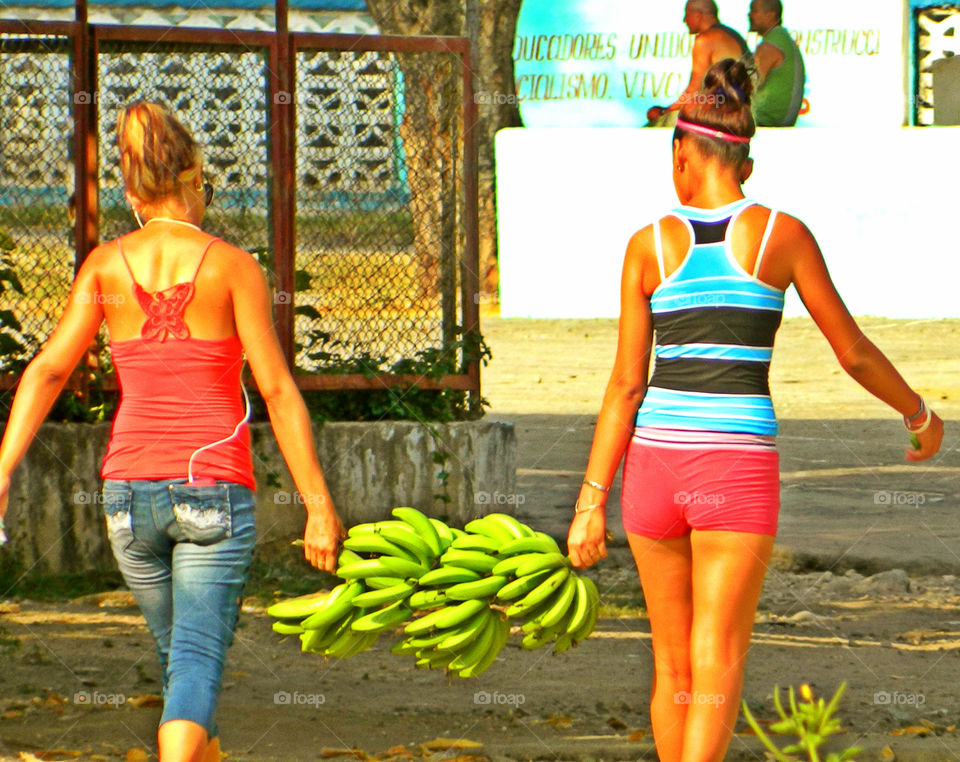 Teamwork . Two Cuban women carry a 40 pound  cluster of plantains down the streets of Santiago zed Cuba! This is main staple their.