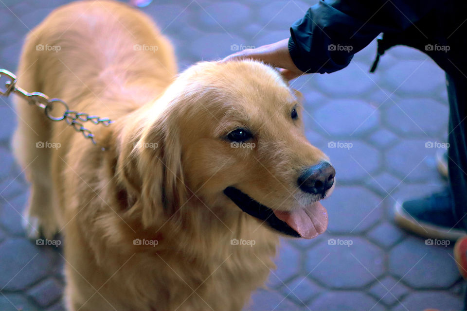 Good boy, Andrei! :)