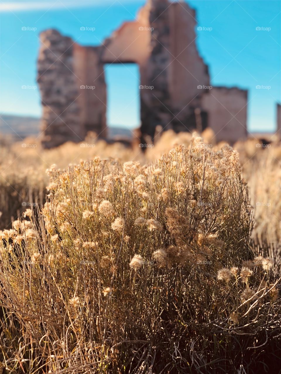 Abandoned house in the Utah desert