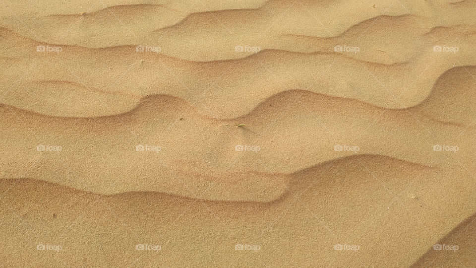 A closeup of sand dune texture