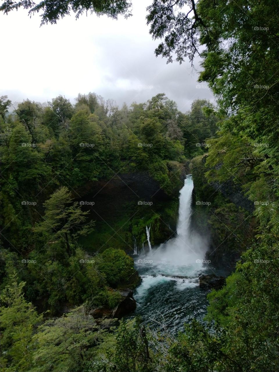 Huilo Huilo
Región de los Ríos, Chile