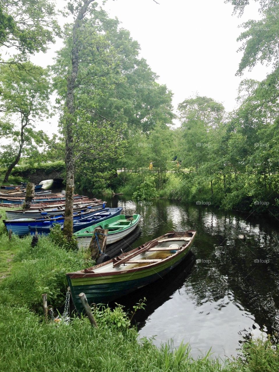 Rowboats in park