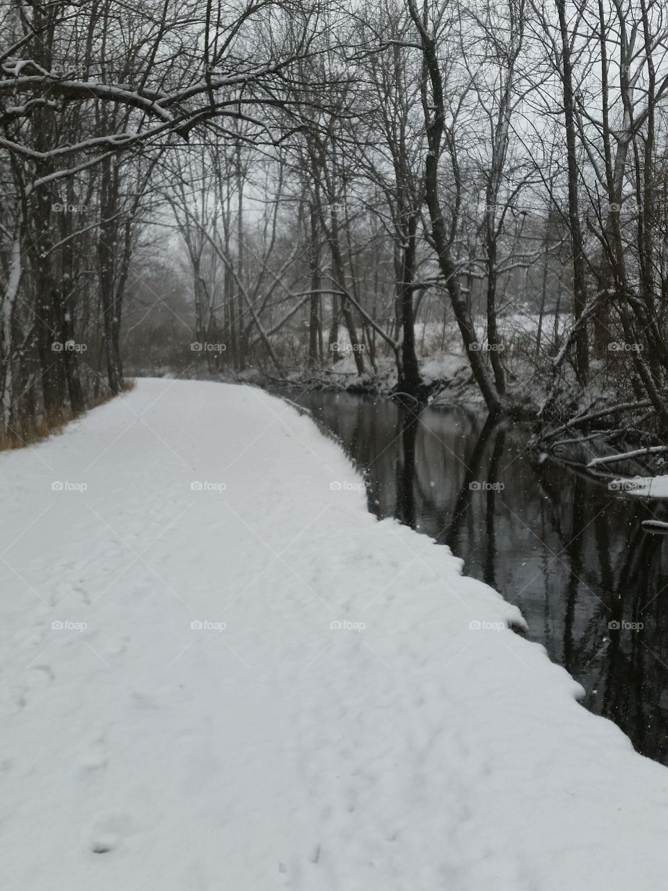 Cold Snowy Walk