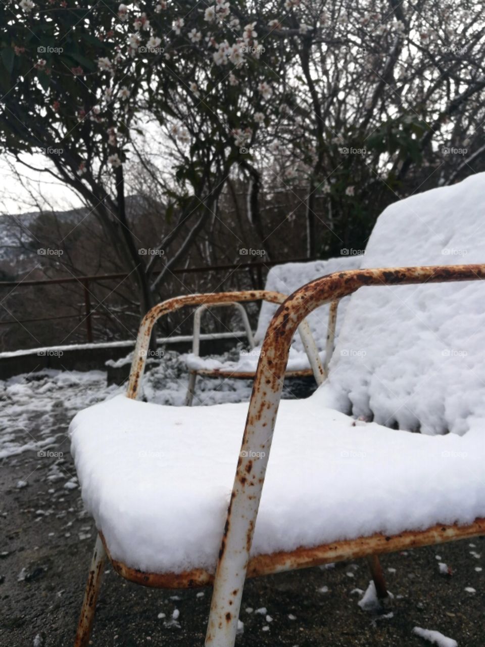 Which is the protagonist?