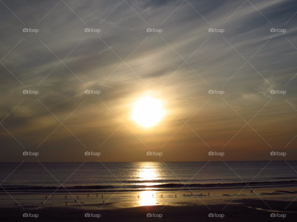 beach sunset sun birds by Nietje70