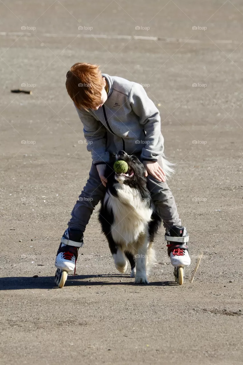 Dog