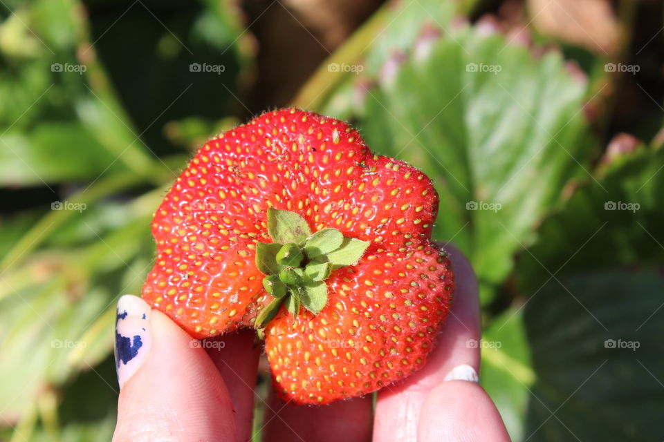 odd strawberry shape