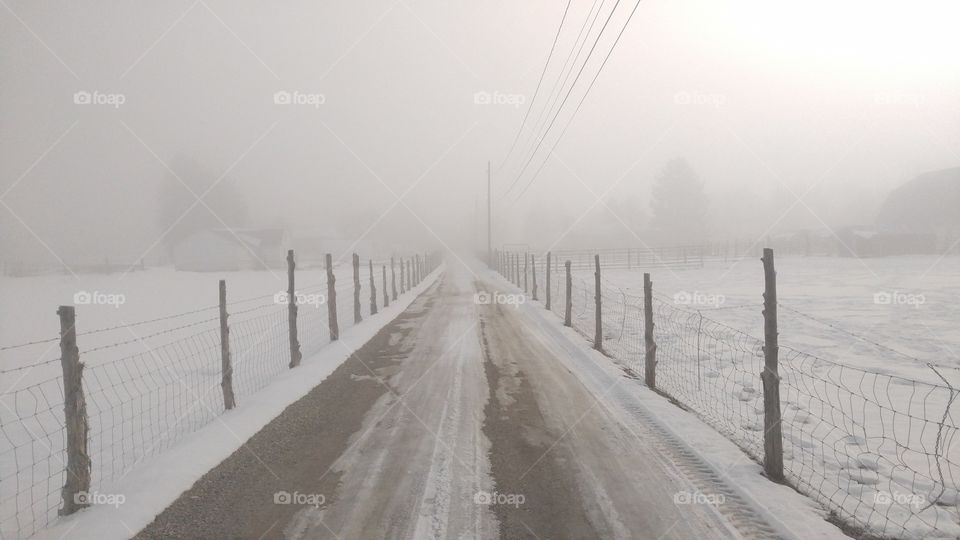 Dirt road in the winter fog