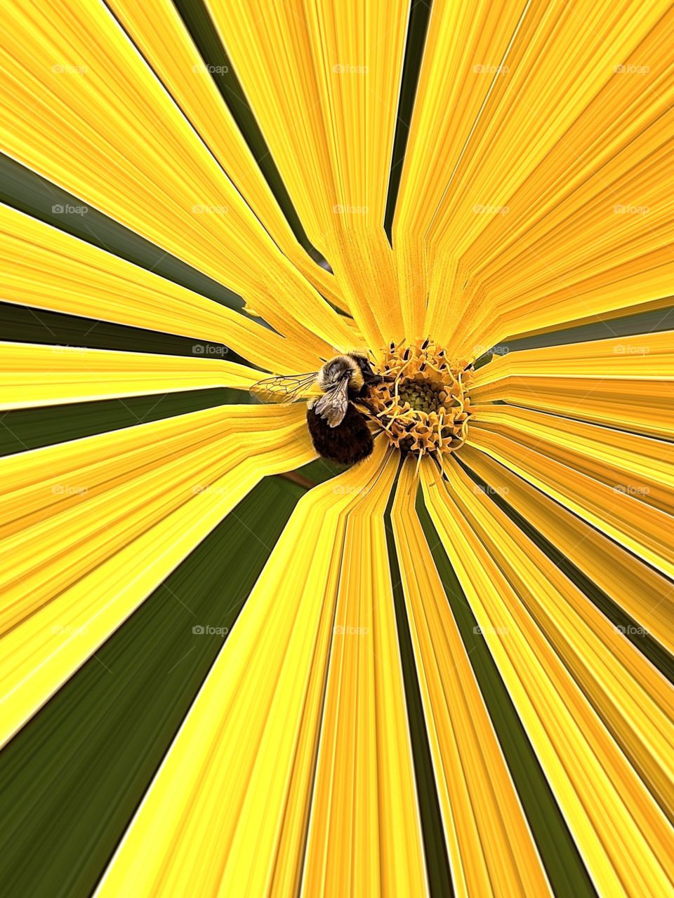 Because why should we have all the fun?