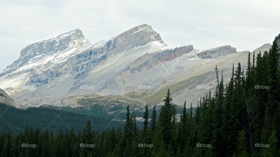 Snow capped Mountain