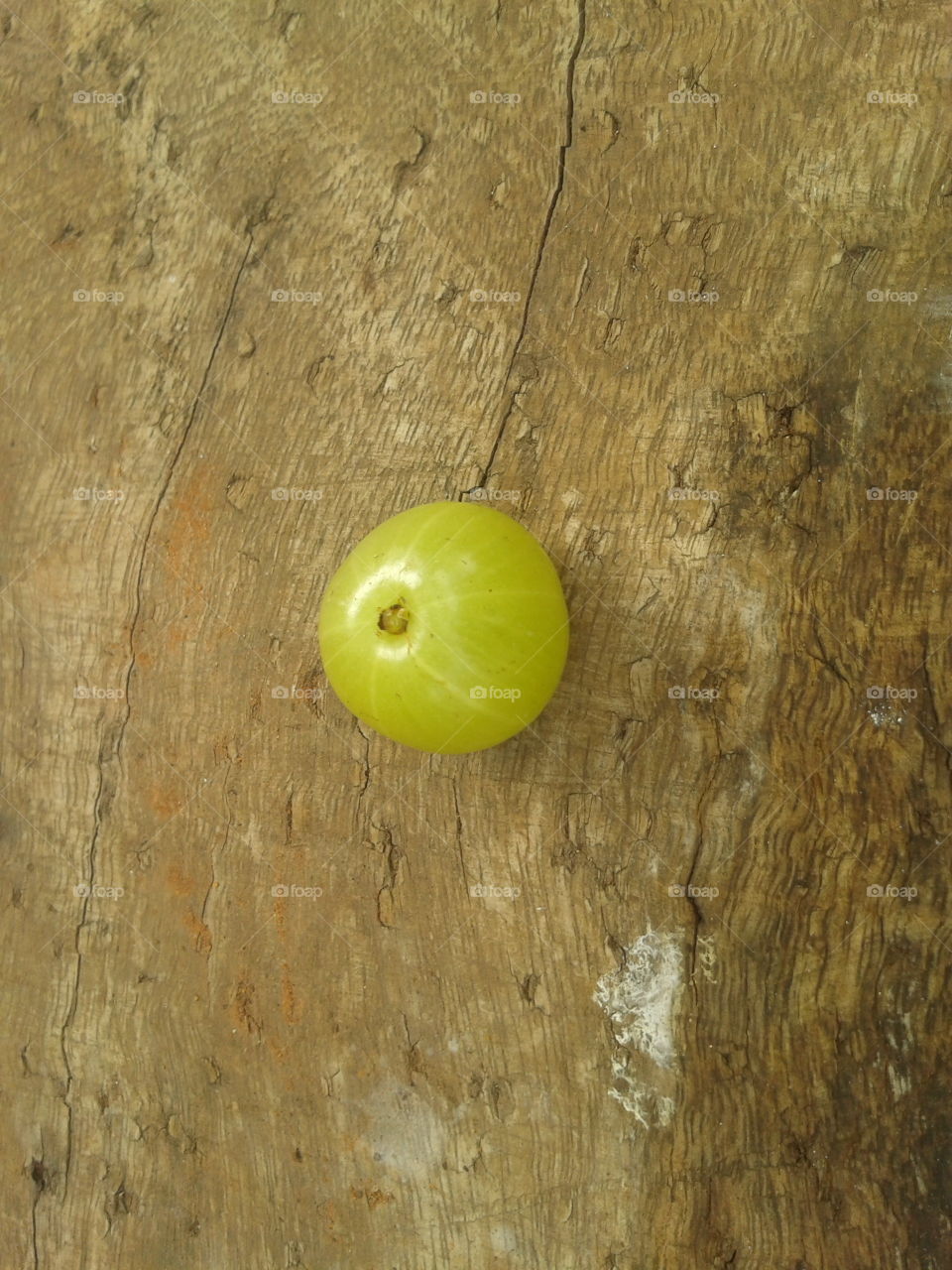 gooseberry