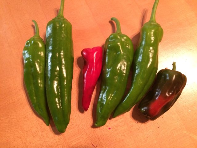 Garden vegetables 
