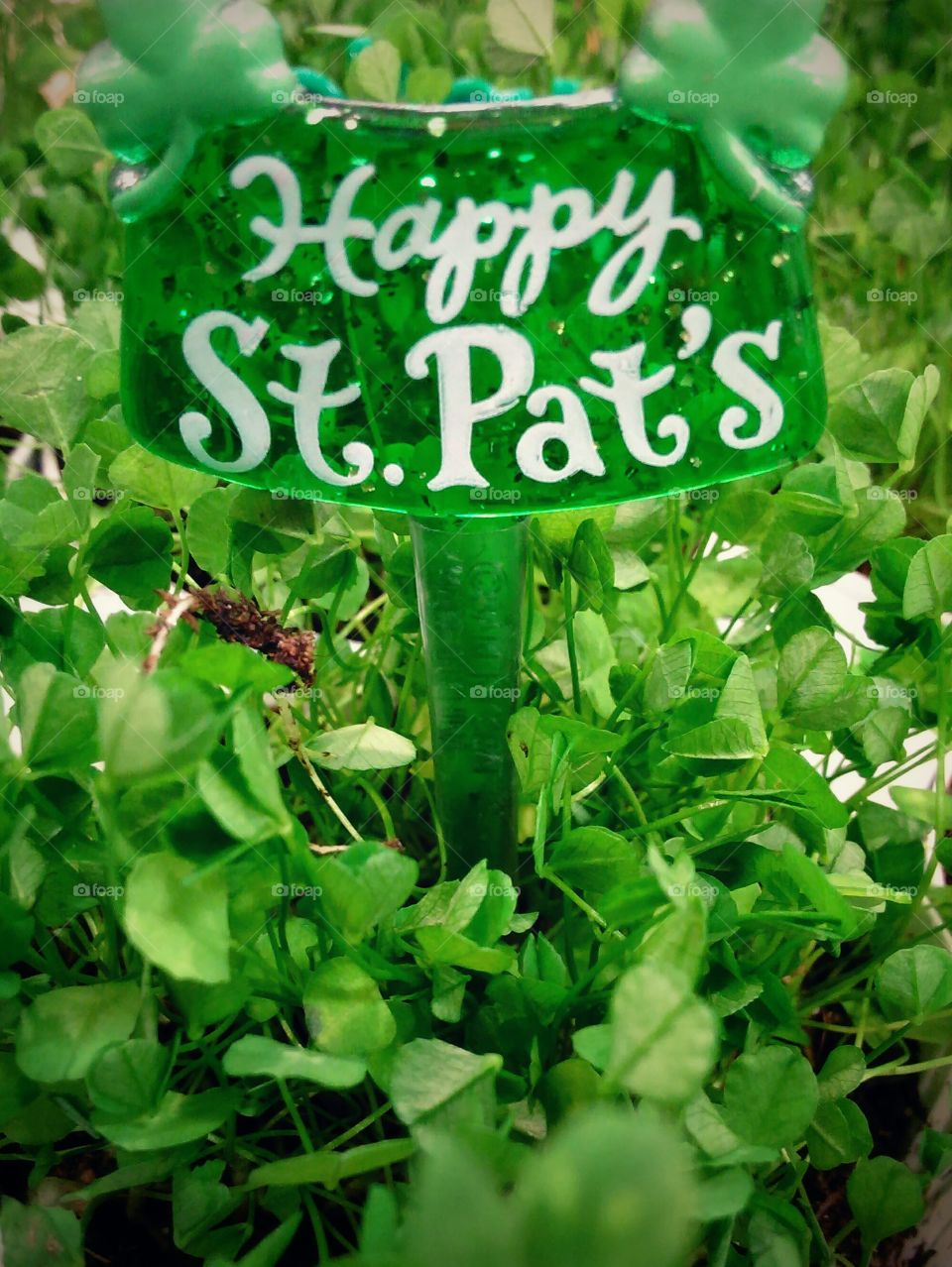 Happy St. Pat's