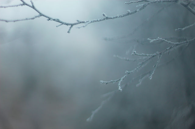 Winter is coming