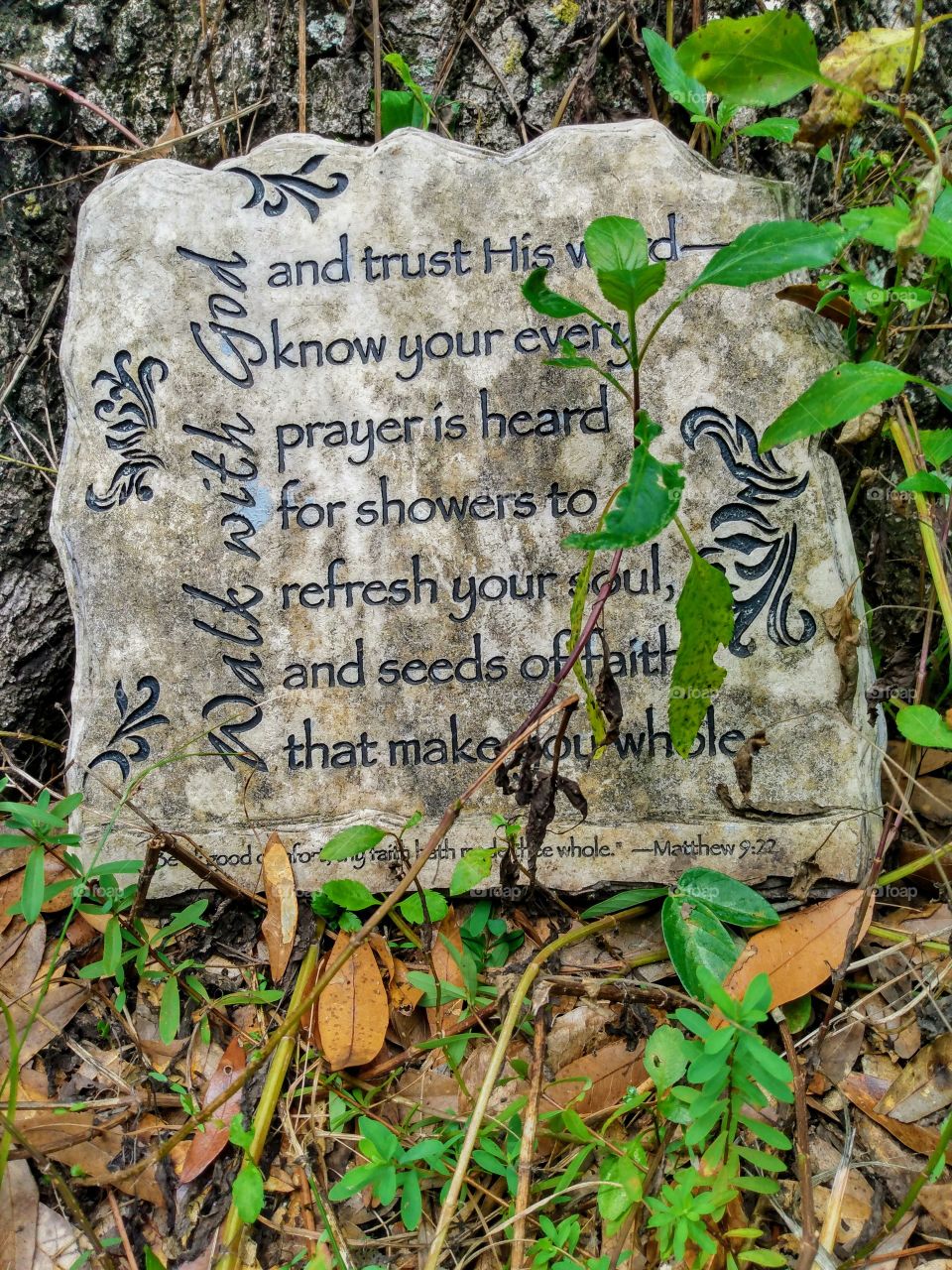 inspirational quote engraved on old stone 
with flora surroundings.