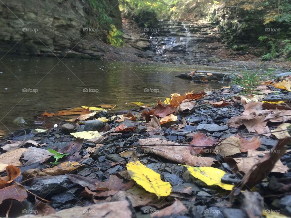 Down by the Riverbend 