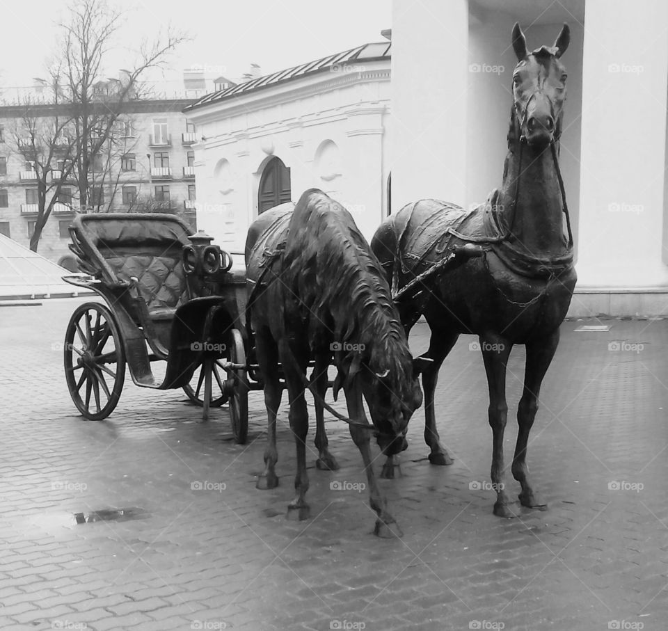 People, Cavalry, Vehicle, Transportation System, Group