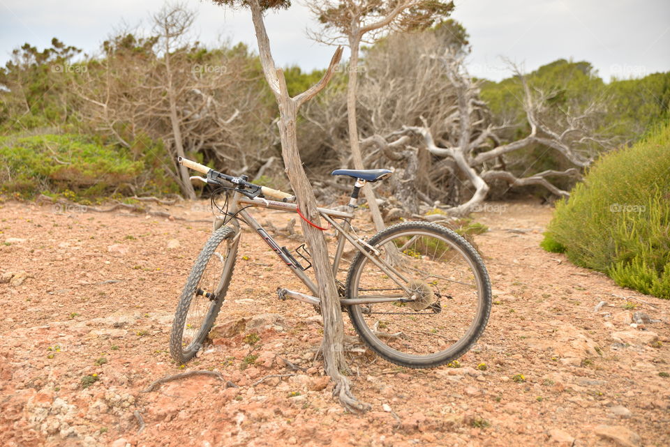 Bicycle in nature