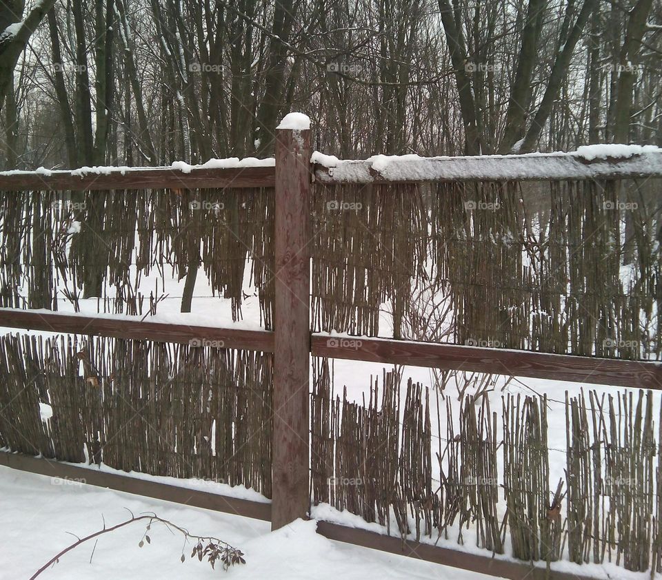 Winter, Snow, Wood, Water, Tree