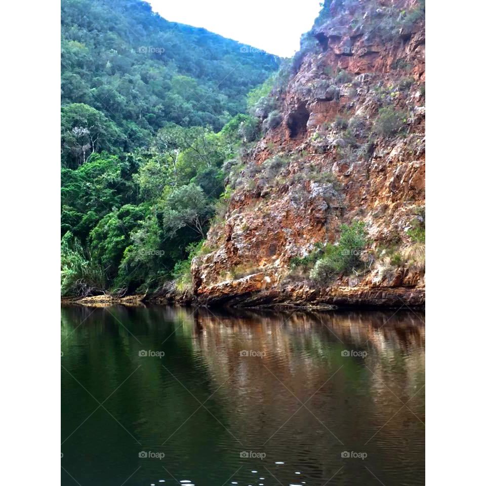 Reflection on the river, somewhere in South Africa