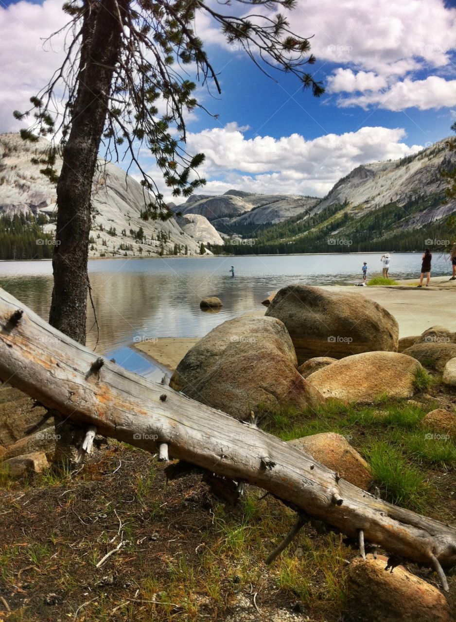 Yosemite 