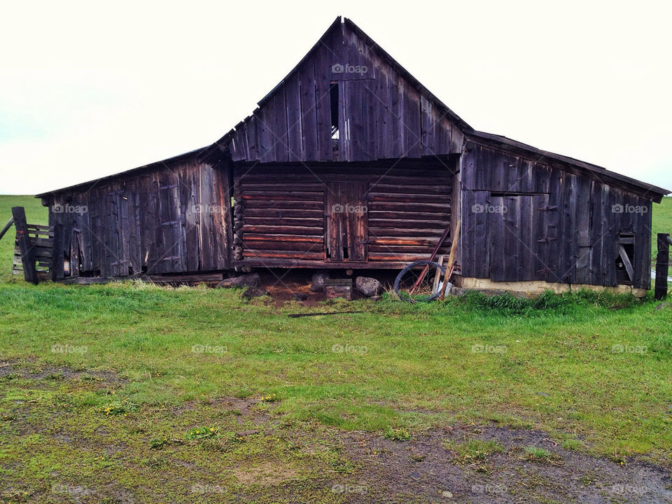 wood grass barn door by jesmor3
