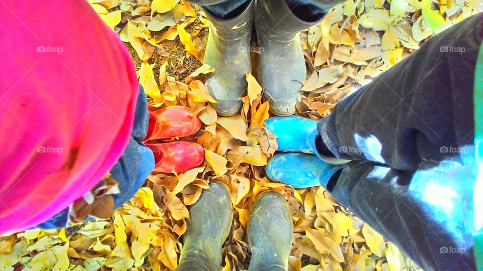 Our point of view when we are walking through the forest