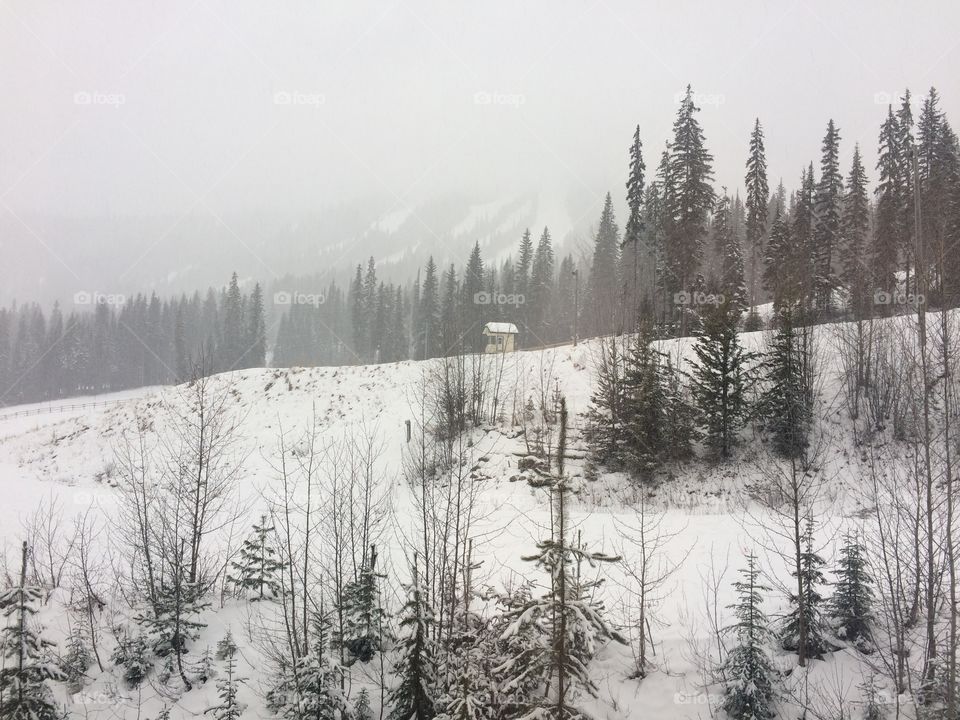 Snowing at sunpeaks! 