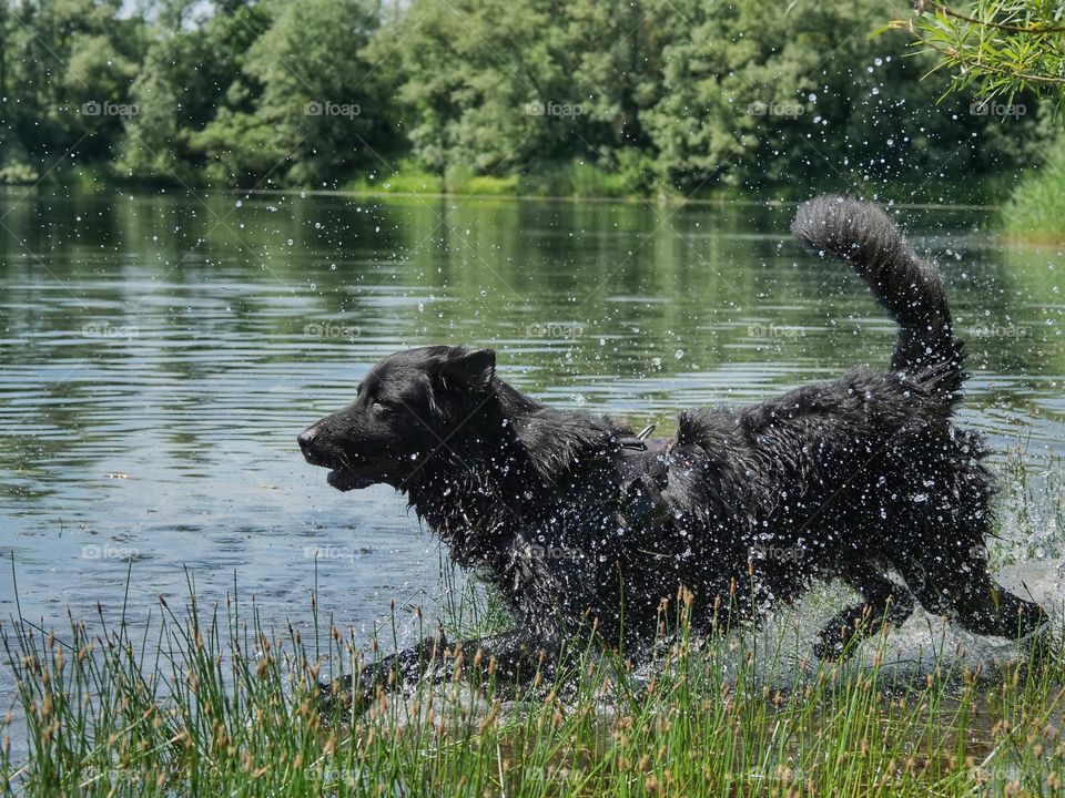 Refreshment at the lake