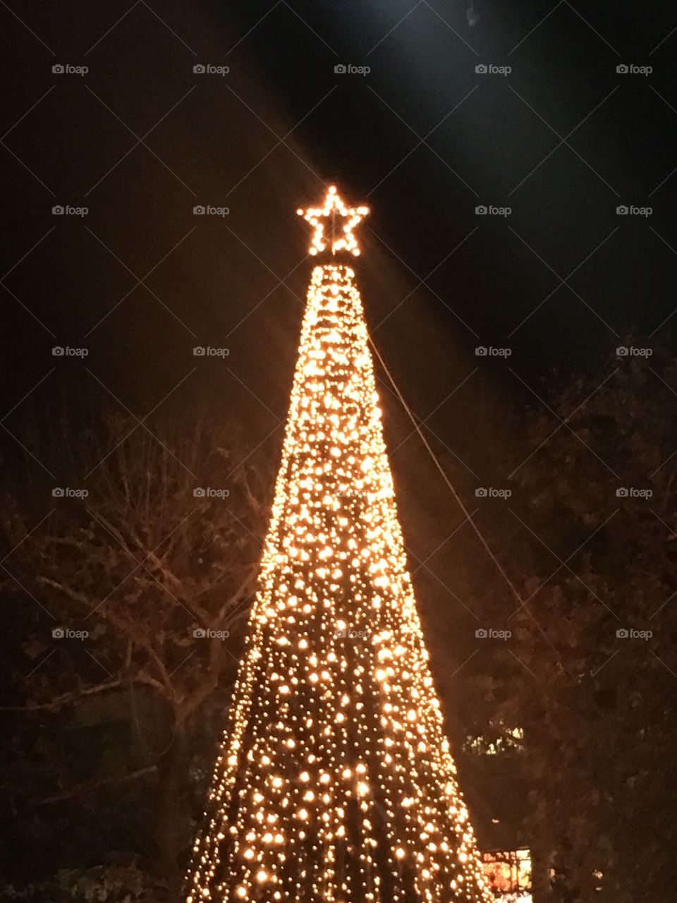 Christmas tree full of lights 