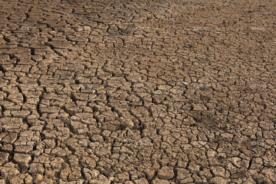 Cracked earth due to drought.